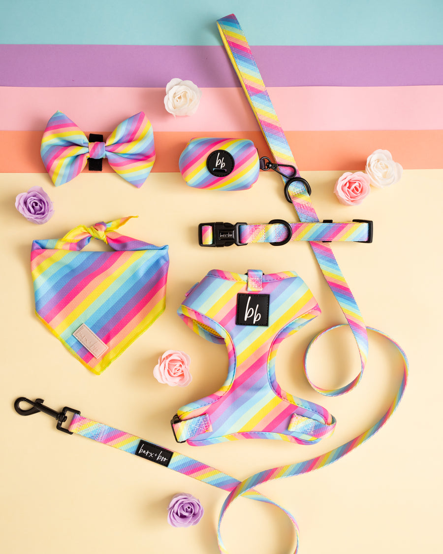 Rainbow - Bow Tie
