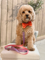 The Heartbreaker - Dog Leash