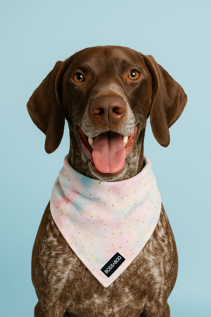 Candy Cloud - Bandana