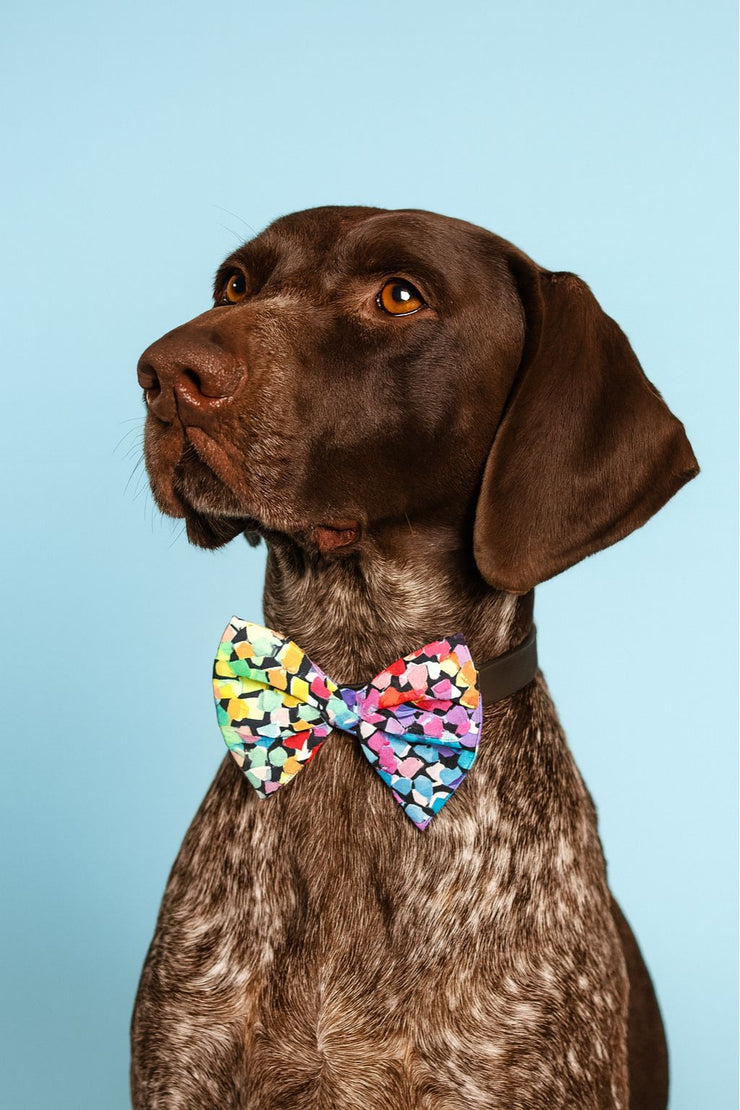 Confetti - Handmade Bow Tie