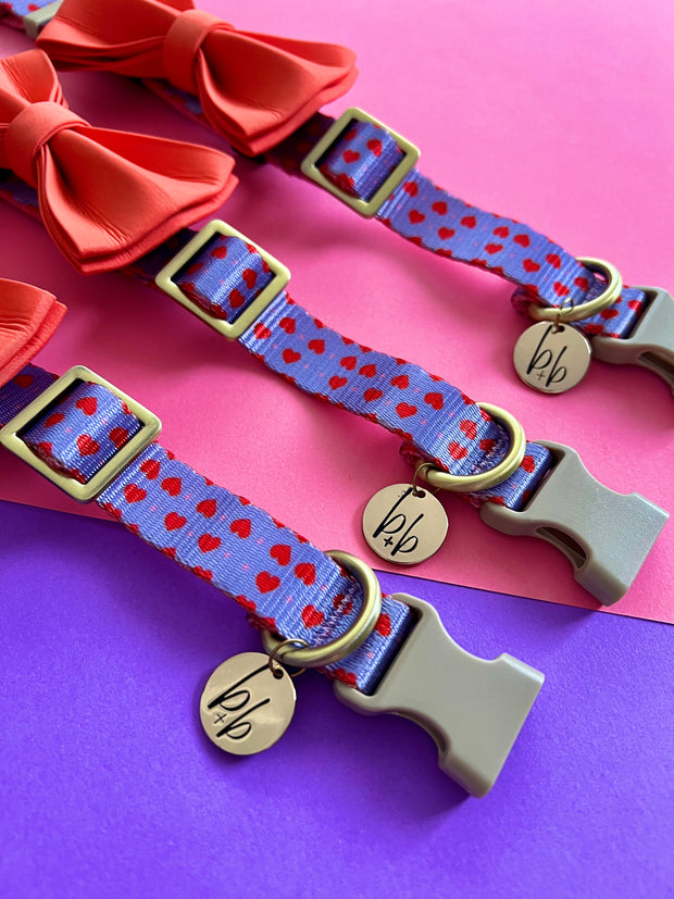 The Heartbreaker - Dog Collar