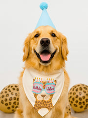 Birthday Vibes - 2-In-1 Bandana