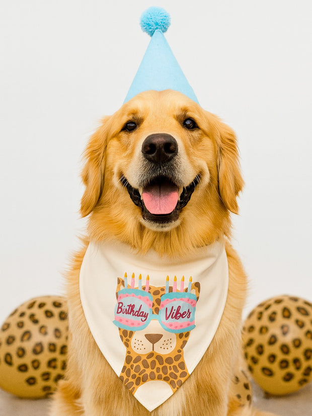 Birthday Vibes - 2-In-1 Bandana
