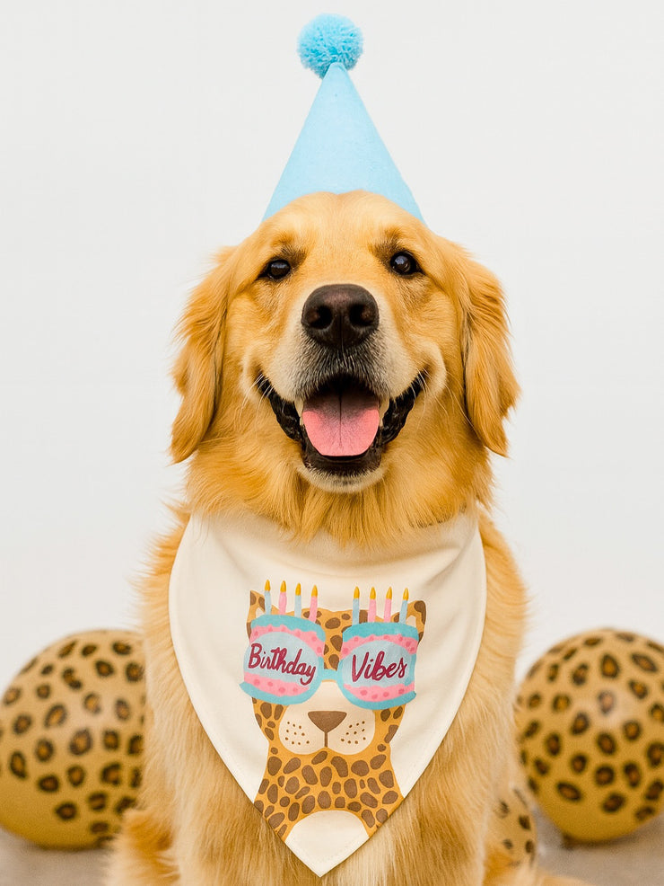 Birthday Vibes - 2-In-1 Bandana