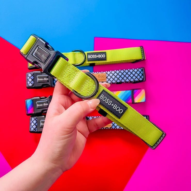 Pistachio  - Dog Collar
