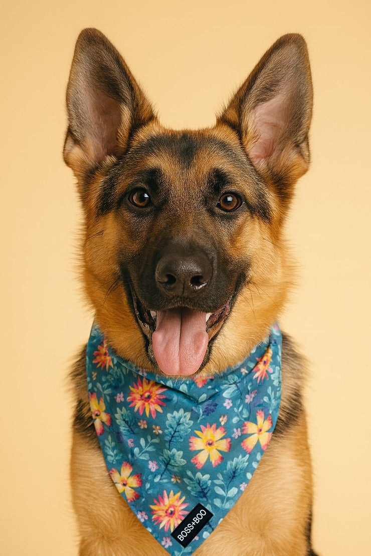 Florentina- Bandana