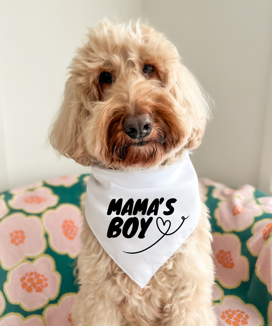 Mama s Boy Pet Bandana Barx And Boo