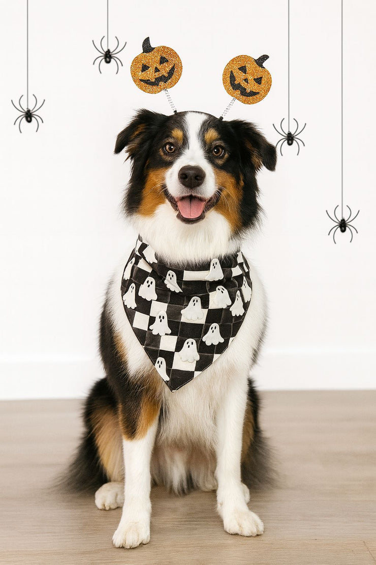 Haunt & Hunt - 2-In-1 Bandana