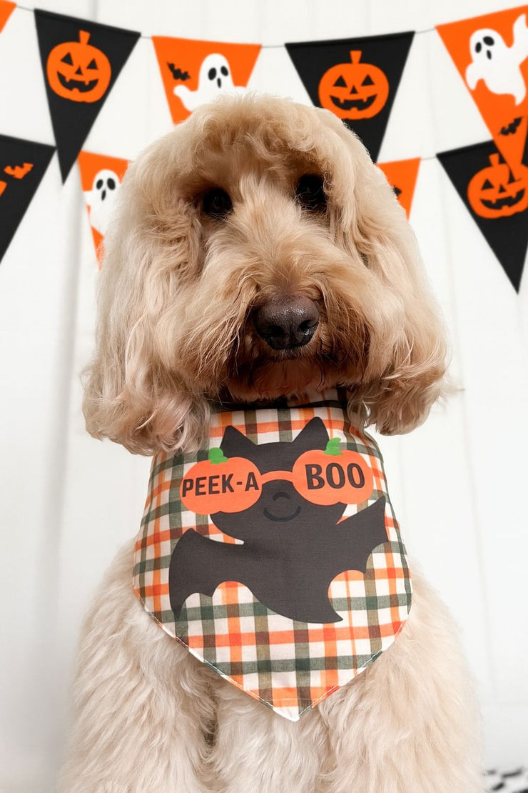Peek-A-Pumpkin - 2-In-1 Bandana