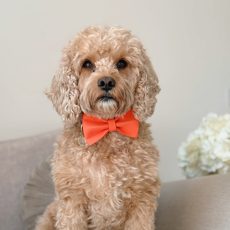 PU Leather  - Bow Tie