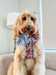 Petal Pop - Adjustable Chest Harness
