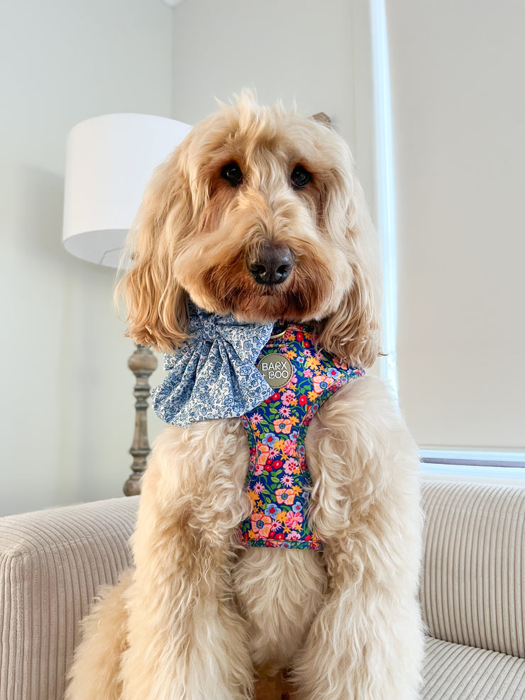 Petal Pop - Adjustable Chest Harness