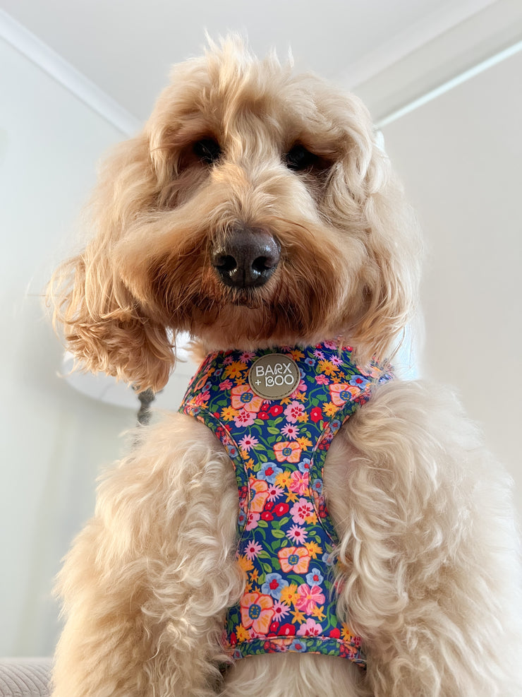 Petal Pop - Adjustable Chest Harness