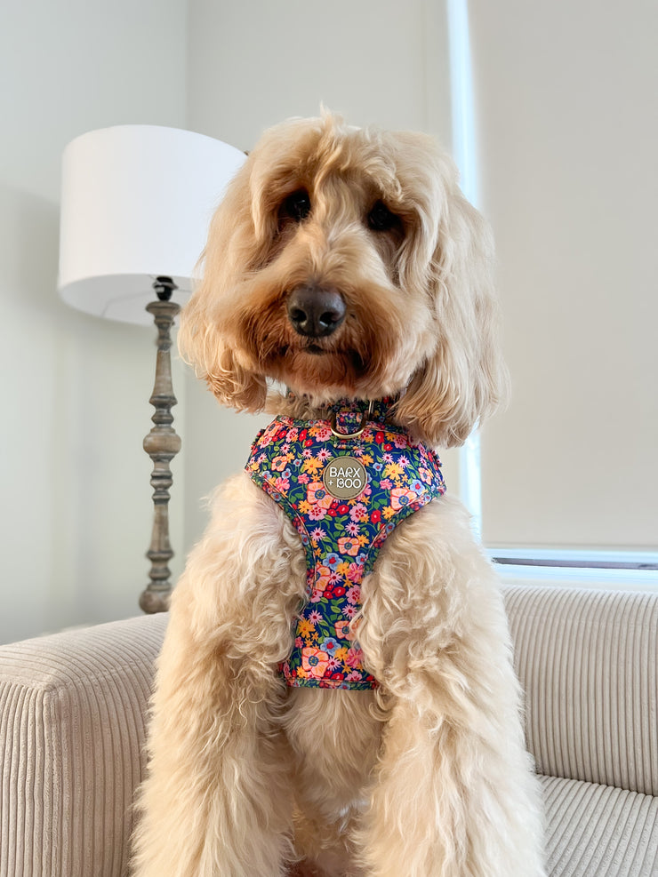 Petal Pop - Adjustable Chest Harness