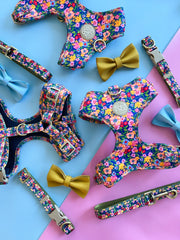 Petal Pop - Adjustable Chest Harness