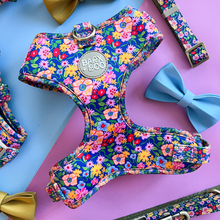 Colorful floral dog harness, leash, and bow ties on a pink and blue background