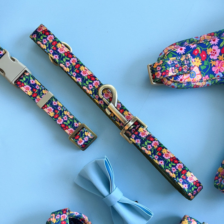 Petal Pop - Dog Leash