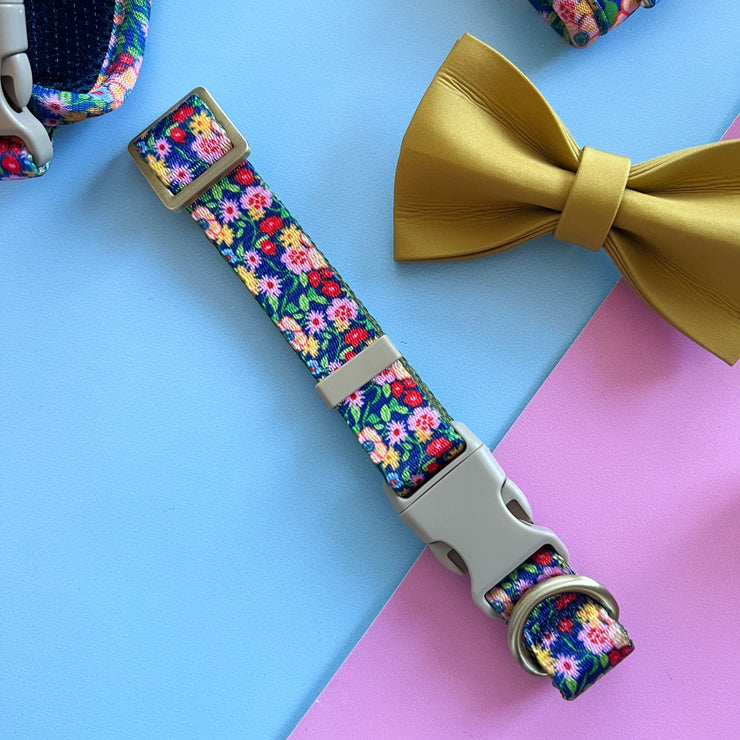Petal Pop - Dog Collar