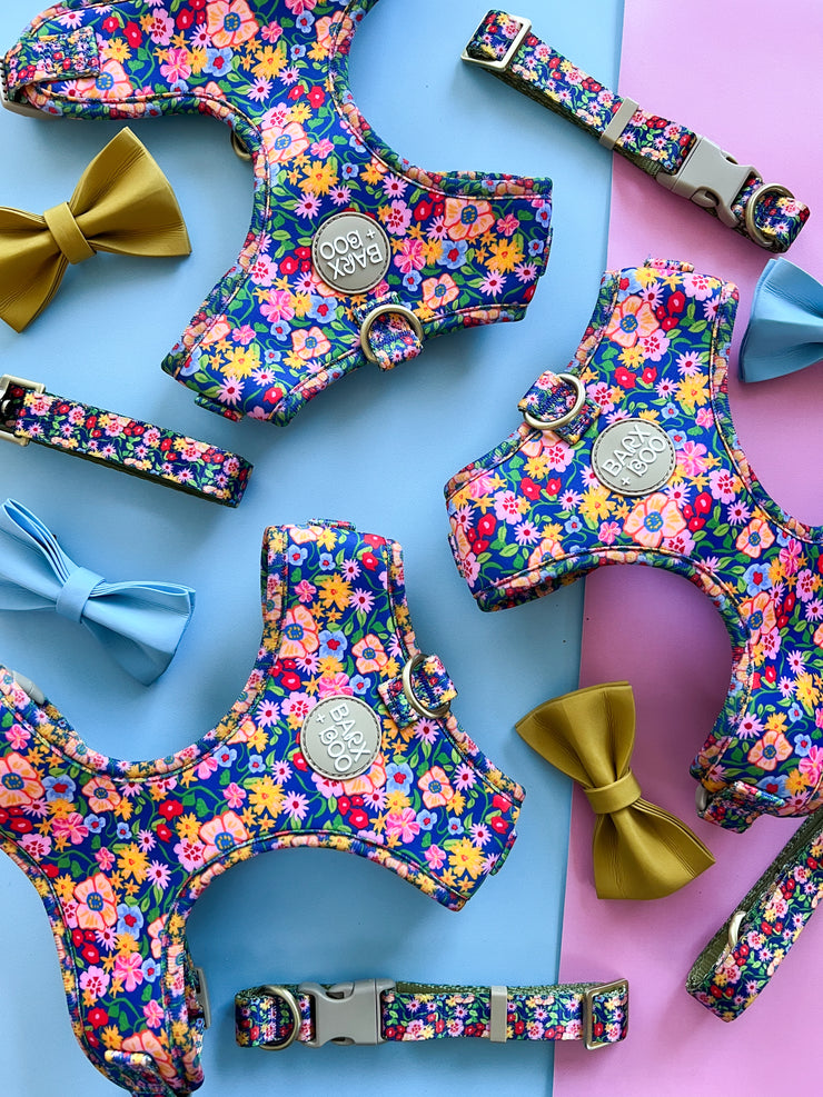 Petal Pop - Adjustable Chest Harness