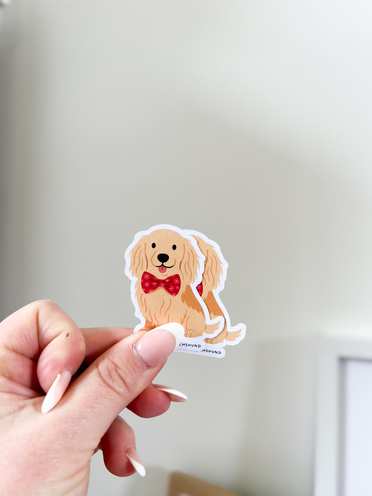 Custom Pet Stickers