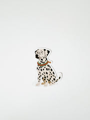 Custom Pet Stickers