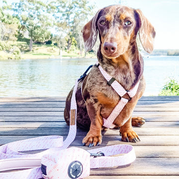 Signature Label Nude/Berry - Strap Harness