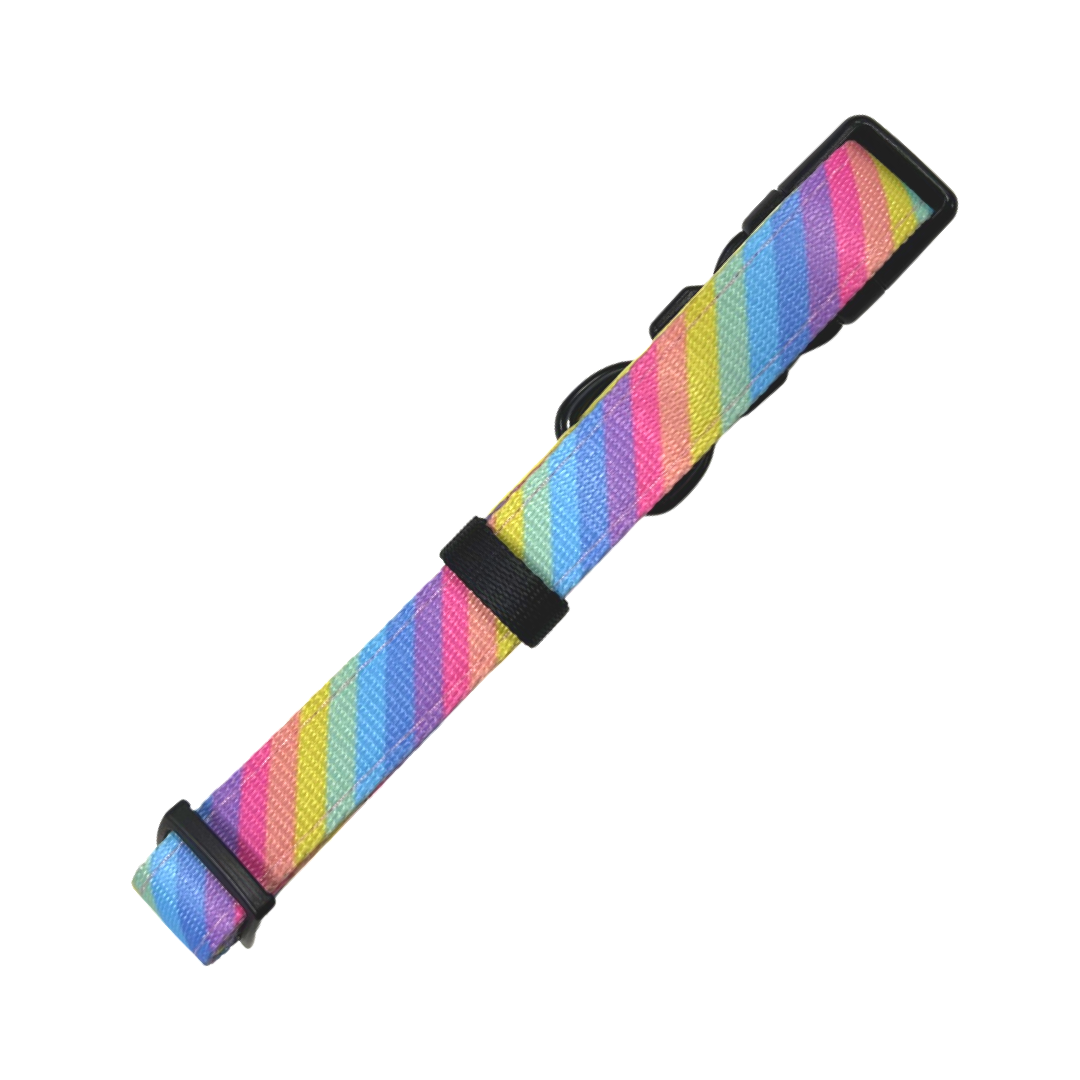 Rainbow  - Dog Collar
