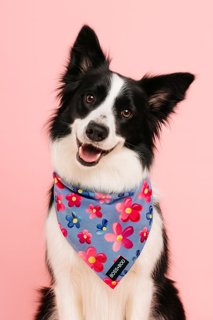 Iris - Bandana