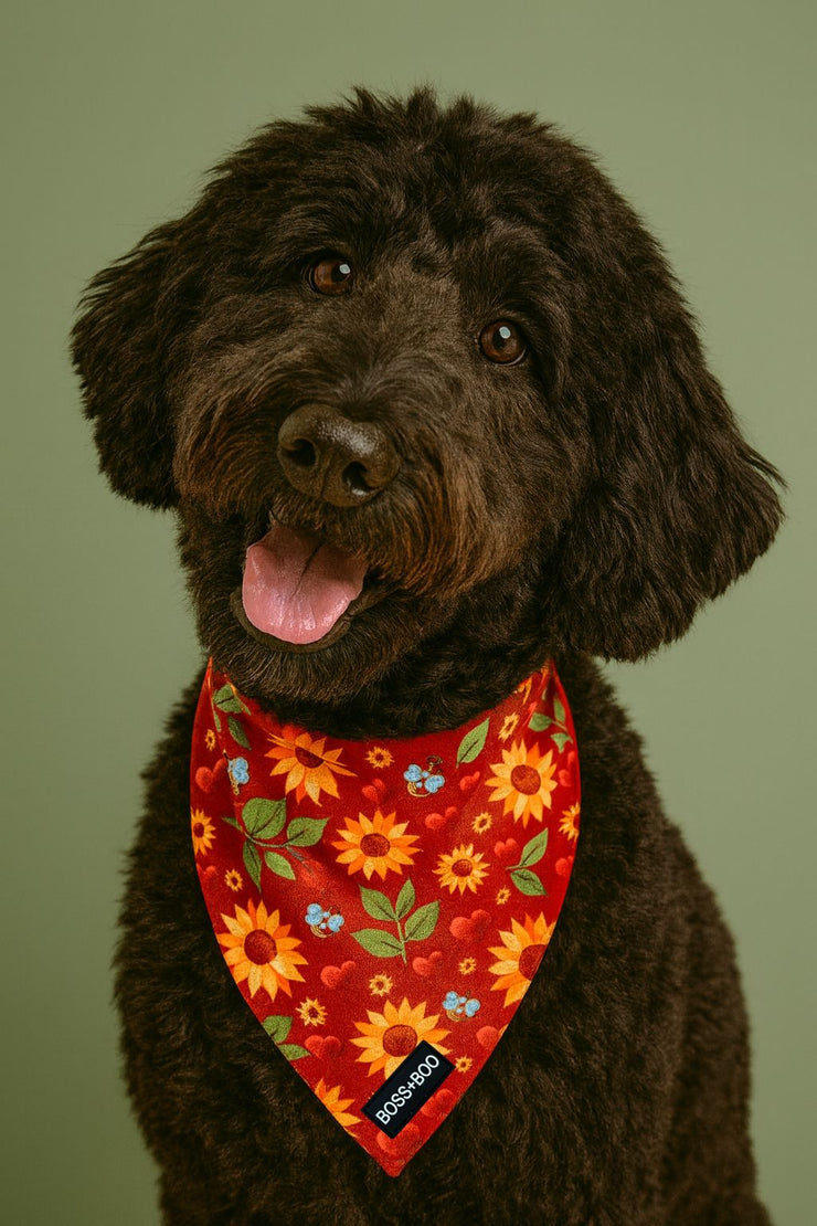 Lotus - Bandana