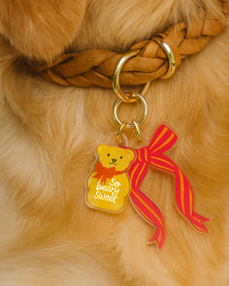 So Beary Sweet - Pet Tag