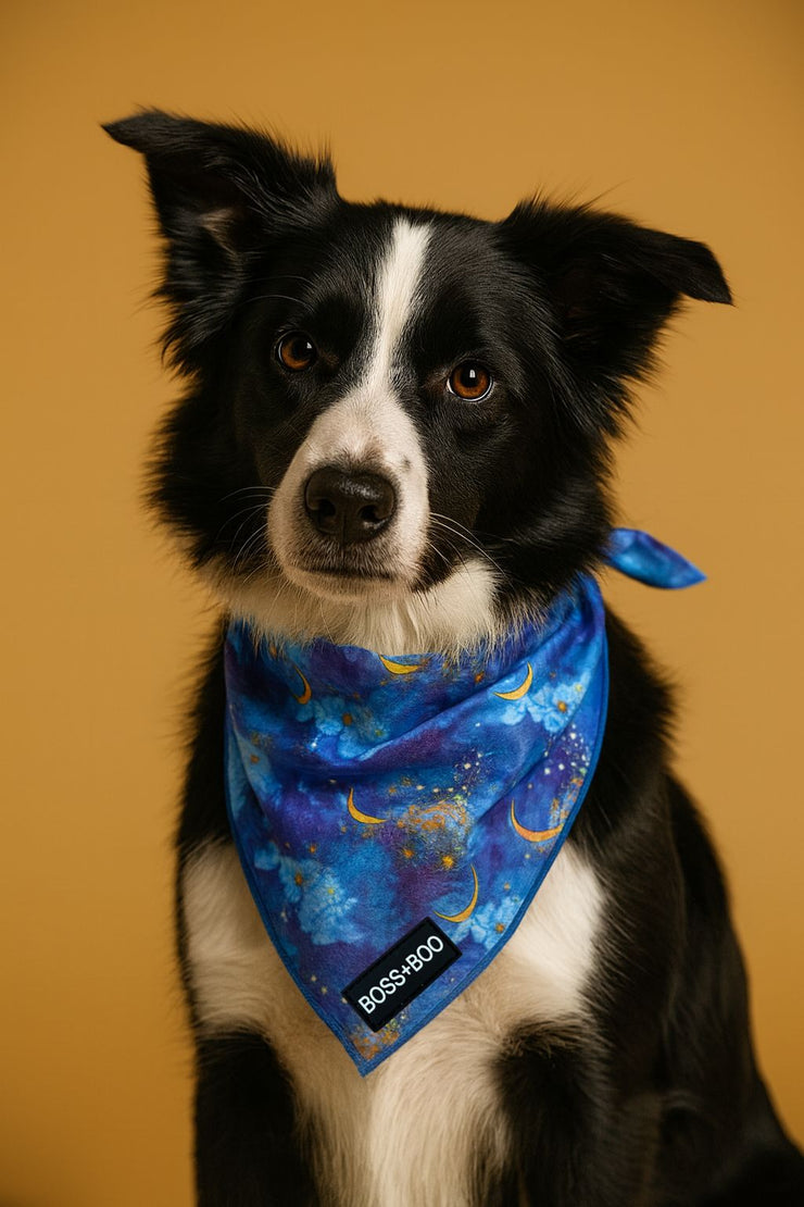 Starry Night - Bandana
