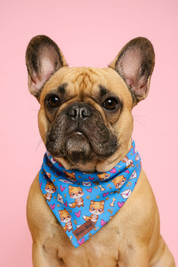 Sweet + Foxy - Bandana