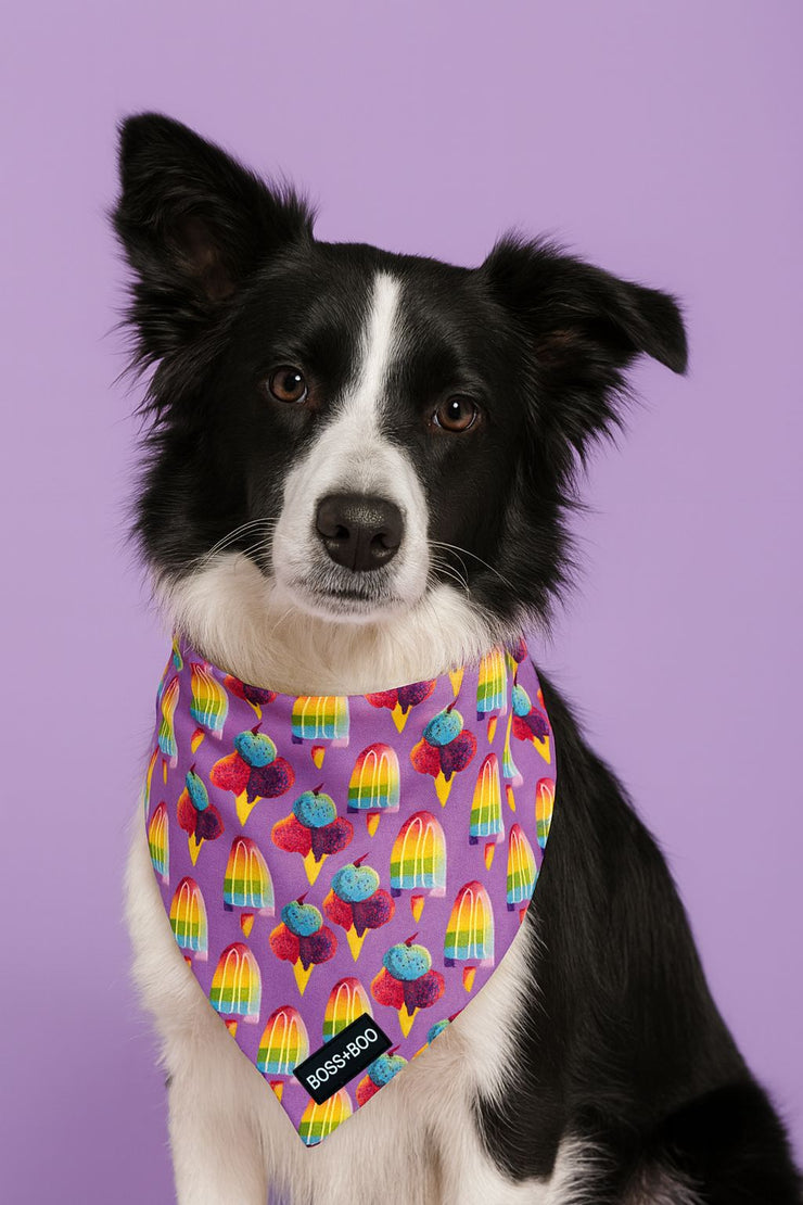 Sweet Treats - Bandana