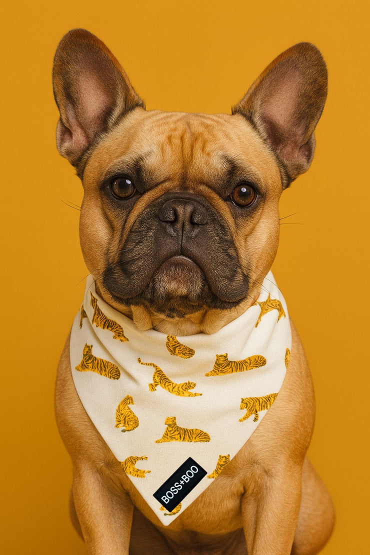 Tiger - Bandana