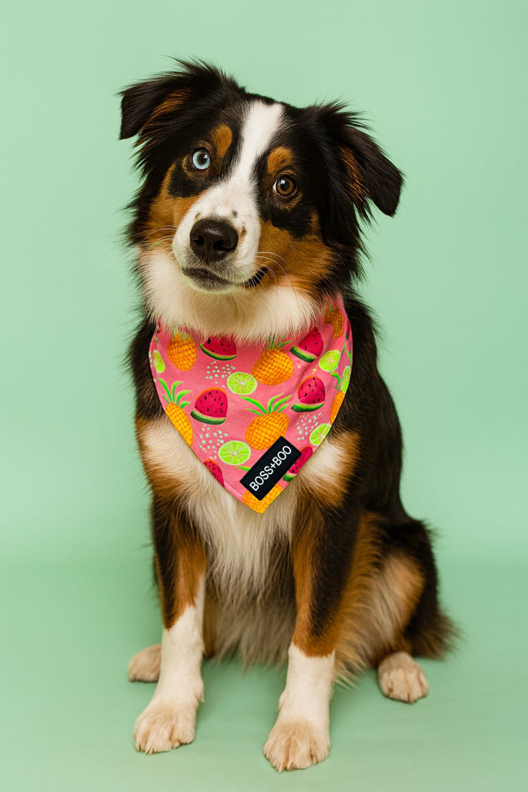 Tutti Frutti - Bandana