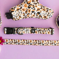 Luxe Leopard - Dog Collar