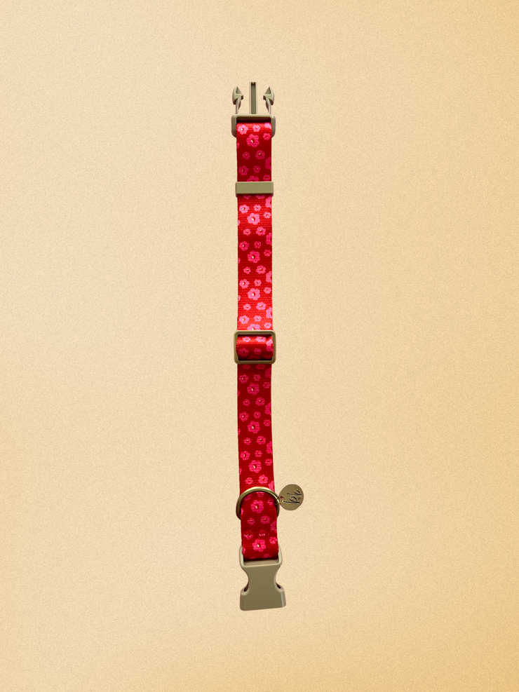 The Ruby - Dog Collar