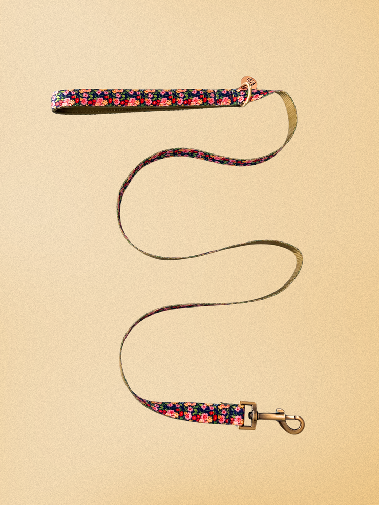 Petal Pop - Dog Leash