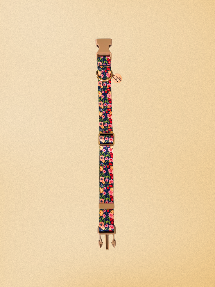 Petal Pop - Dog Collar