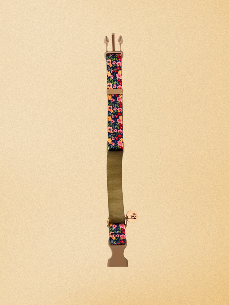 Petal Pop - Dog Collar
