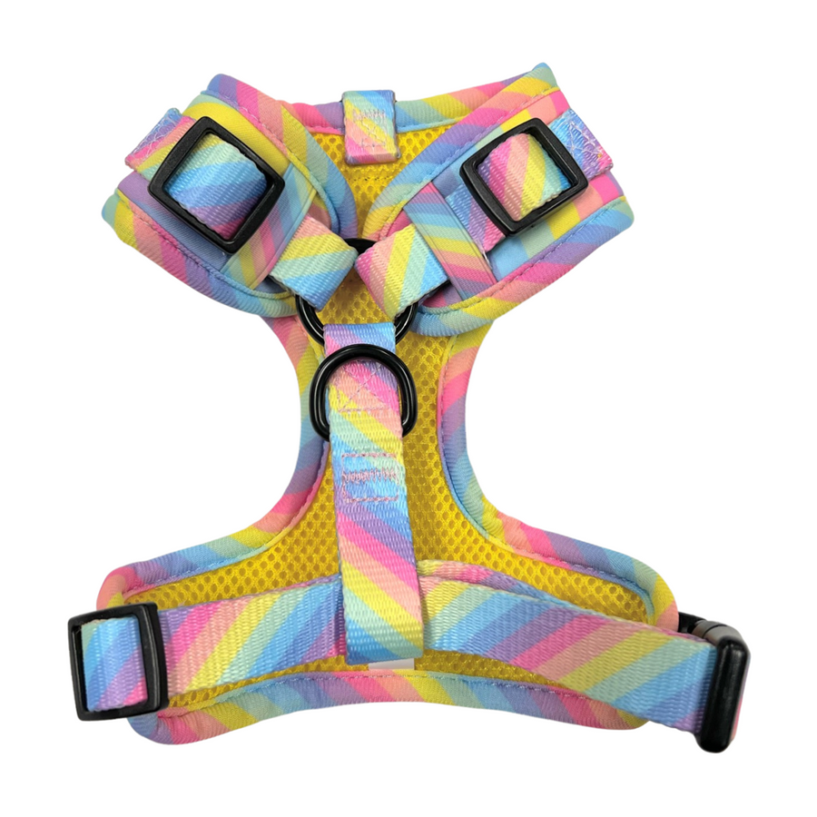 Rainbow - Adjustable Chest Harness