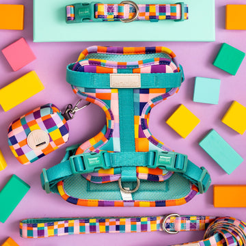 Dream In Colour - Adventure Harness