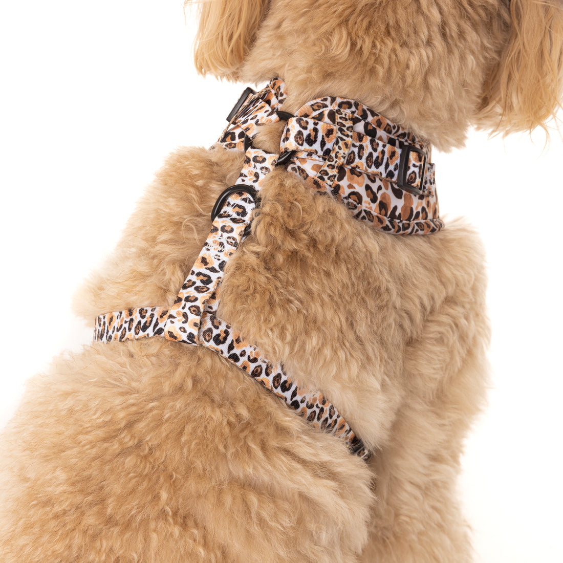 Luxe Leopard - Adjustable Chest Harness