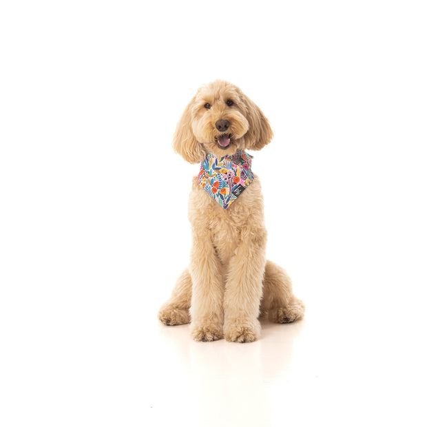 Wildflowers - BB Luxe Bandana
