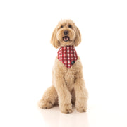 Check Me Out - BB Luxe Bandana