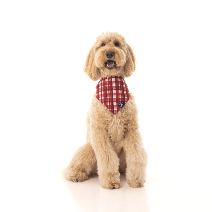 Check Me Out - BB Luxe Bandana