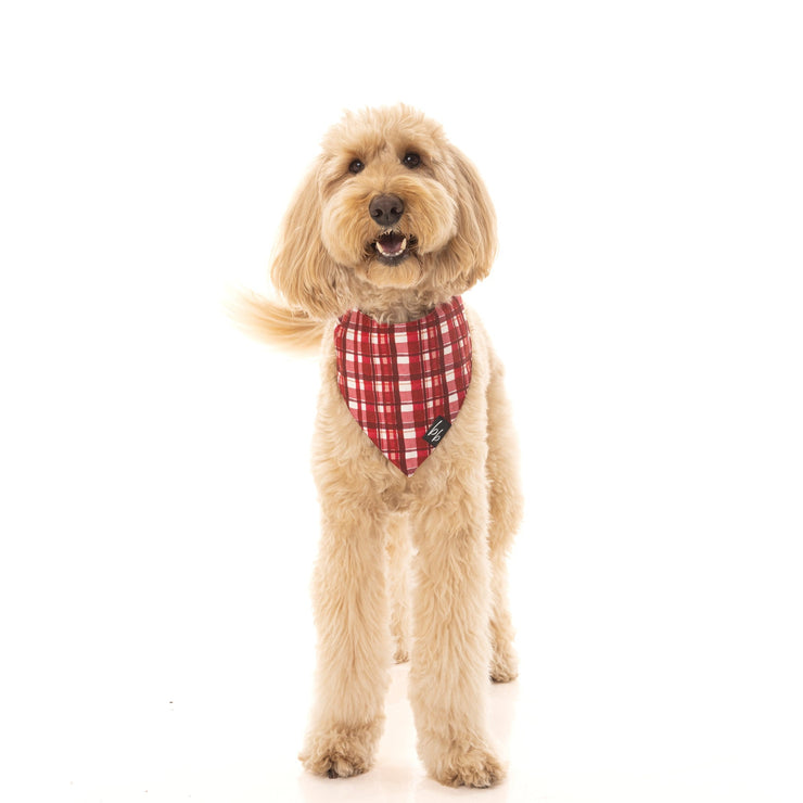 Check Me Out - BB Luxe Bandana