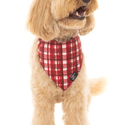 Check Me Out - BB Luxe Bandana