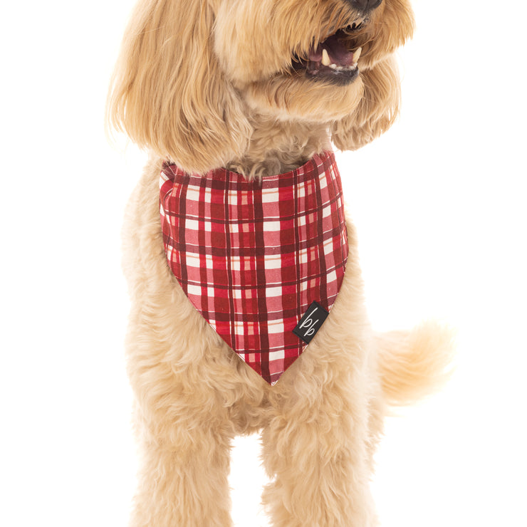 Check Me Out - BB Luxe Bandana