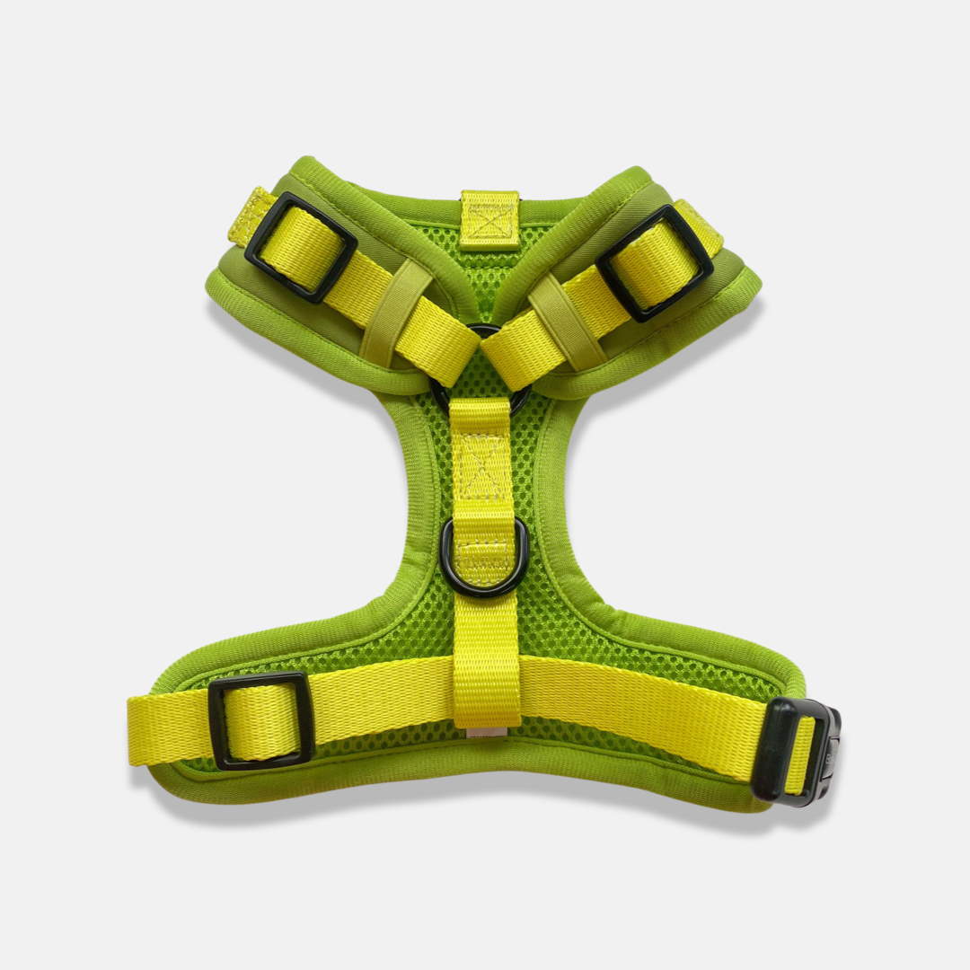 Pistachio - Adjustable Chest Harness